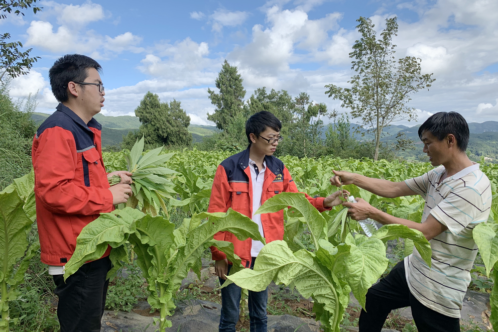 1619840208131905.jpg 楊秉燁 陳瑞志.jpg