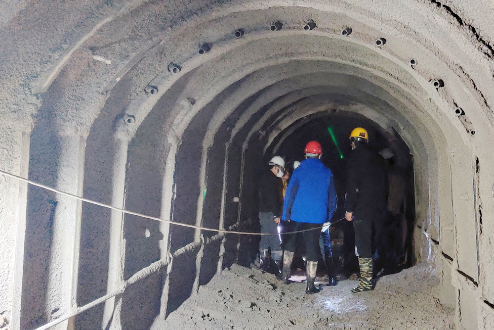 1642675272891575.jpg 2.jpg